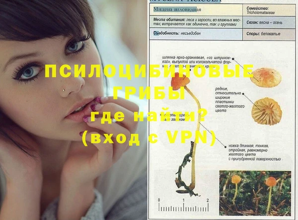 PSILOCYBIN Краснослободск