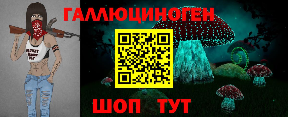 А ПВП Углич